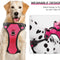 LED Dog Harness- Durable Light up Dog Harness, Reflective Dog Harness Light, Adjustable LED Dog Coat for Small, Medium and Large Dogs (X-Large, Pink)