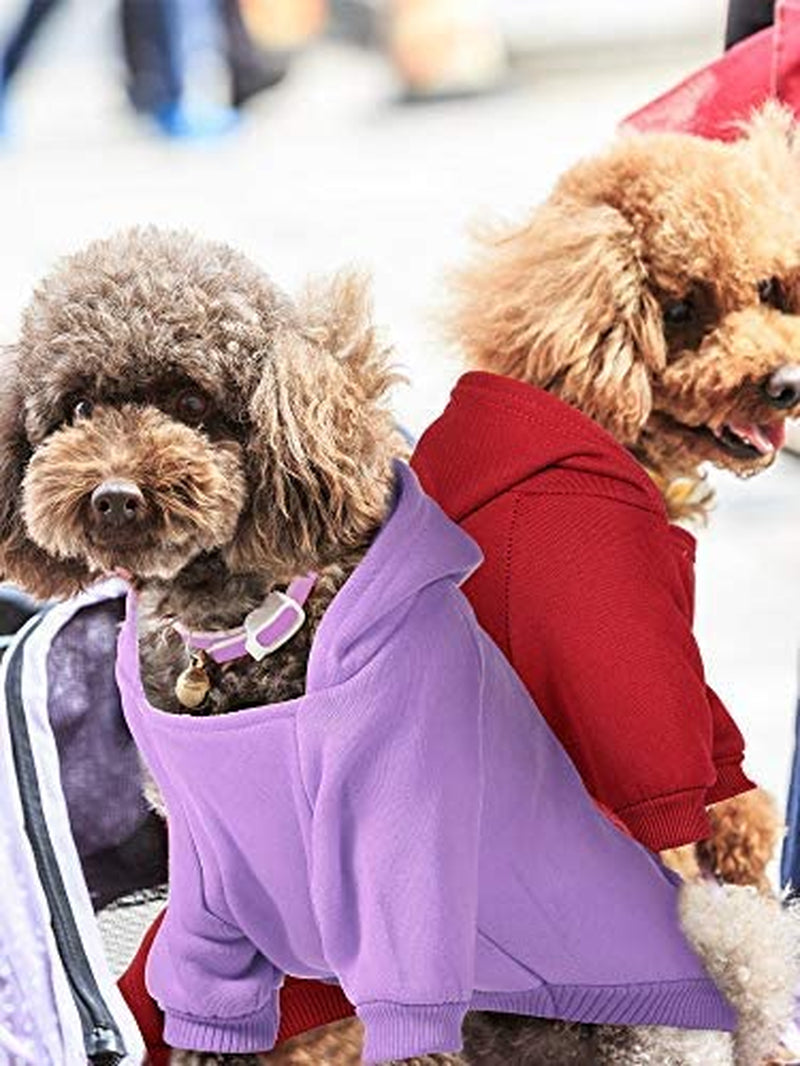 4 Pieces Small Dog Sweaters Dog Hoodie Clothes with Hat for Small Dogs Chihuahua Clothes with Pocket Puppy Pet Winter Clothes Warm Hoodies Coat Sweater Shirt(Xxs)